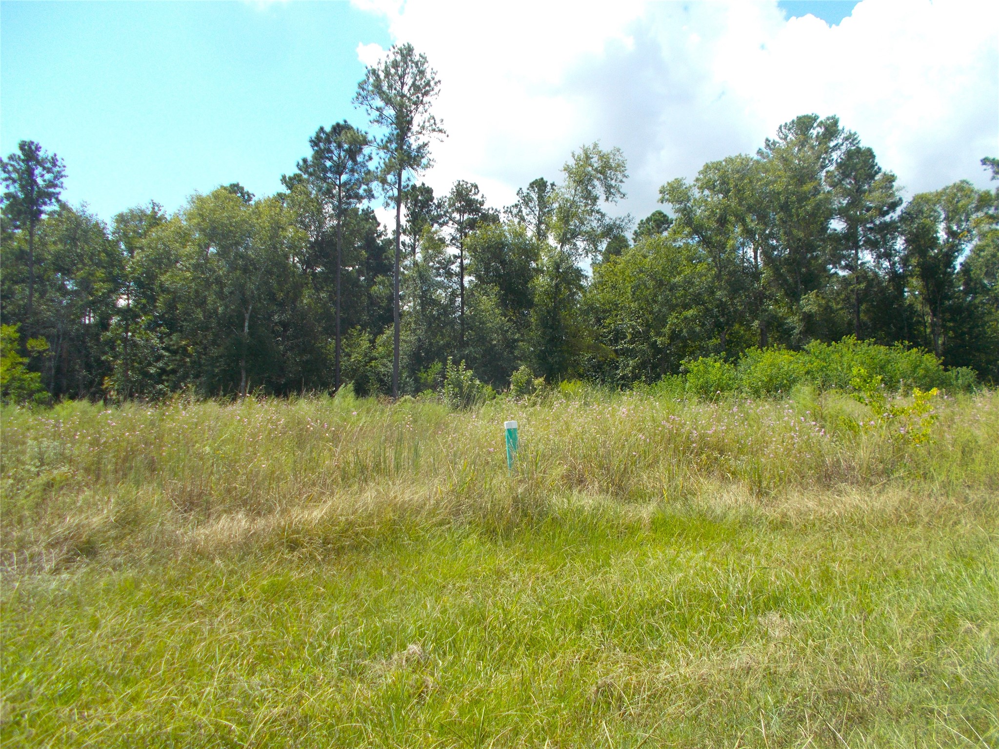 968 County Road 7 Damon, TX 77430 - Photo 4 of 5