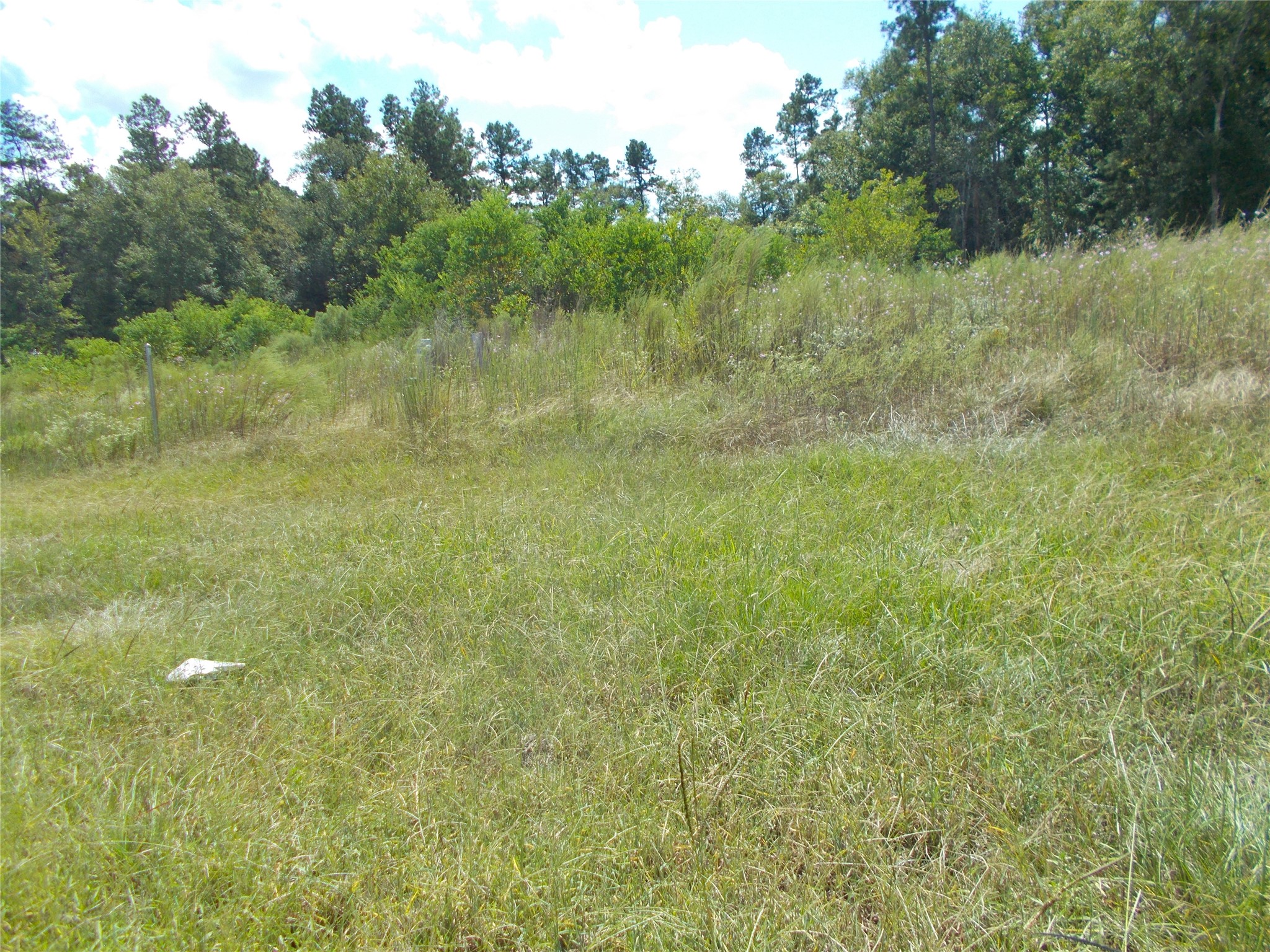 968 County Road 7 Damon, TX 77430 - Photo 5 of 5