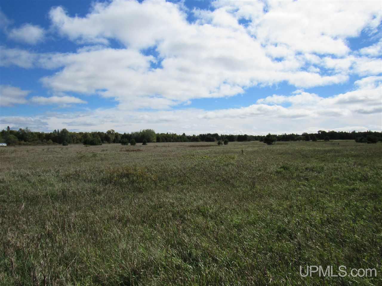 Tbd Kendall Road Manistique, MI 49854 - Photo 2 of 9