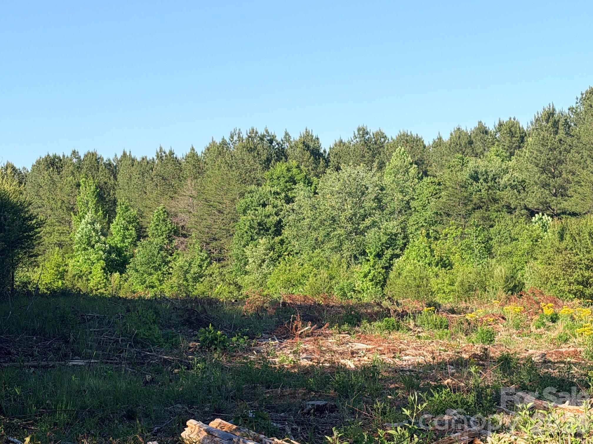 Lot 2 Doggett Grove Road Forest City, NC 28043 - Photo 2 of 6