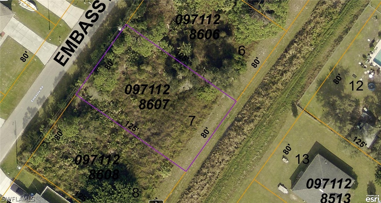 971128607 Embassy Road North Port, FL 34291 - Photo 1 of 43 a close up of a plant