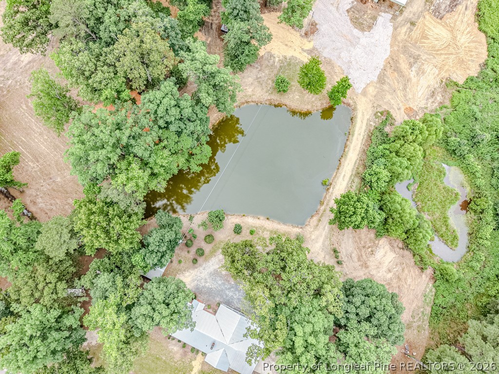 2957 Cypress Church Road Cameron, NC 28326 - Photo 47 of 48 Aerial view from above