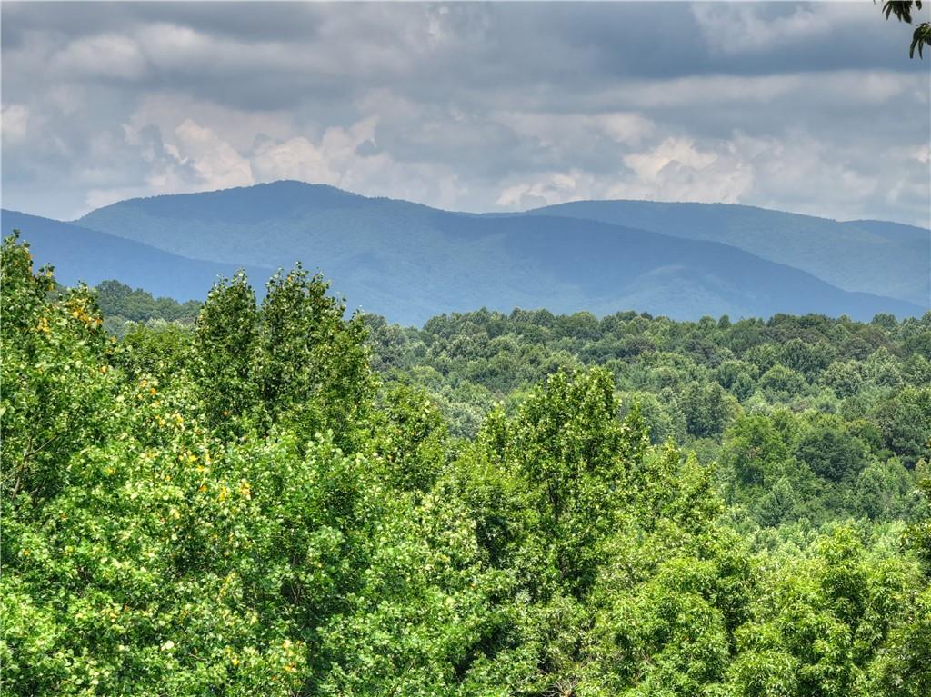 2086 Burnt Mountain Road Ellijay, GA 30536 - Photo 135 of 148
