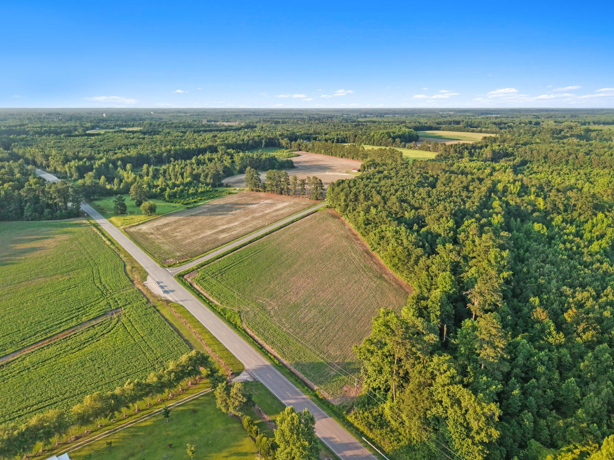 76 Highway 76 Nichols, SC 29581 - Photo 4 of 18 Gallery Image 4
