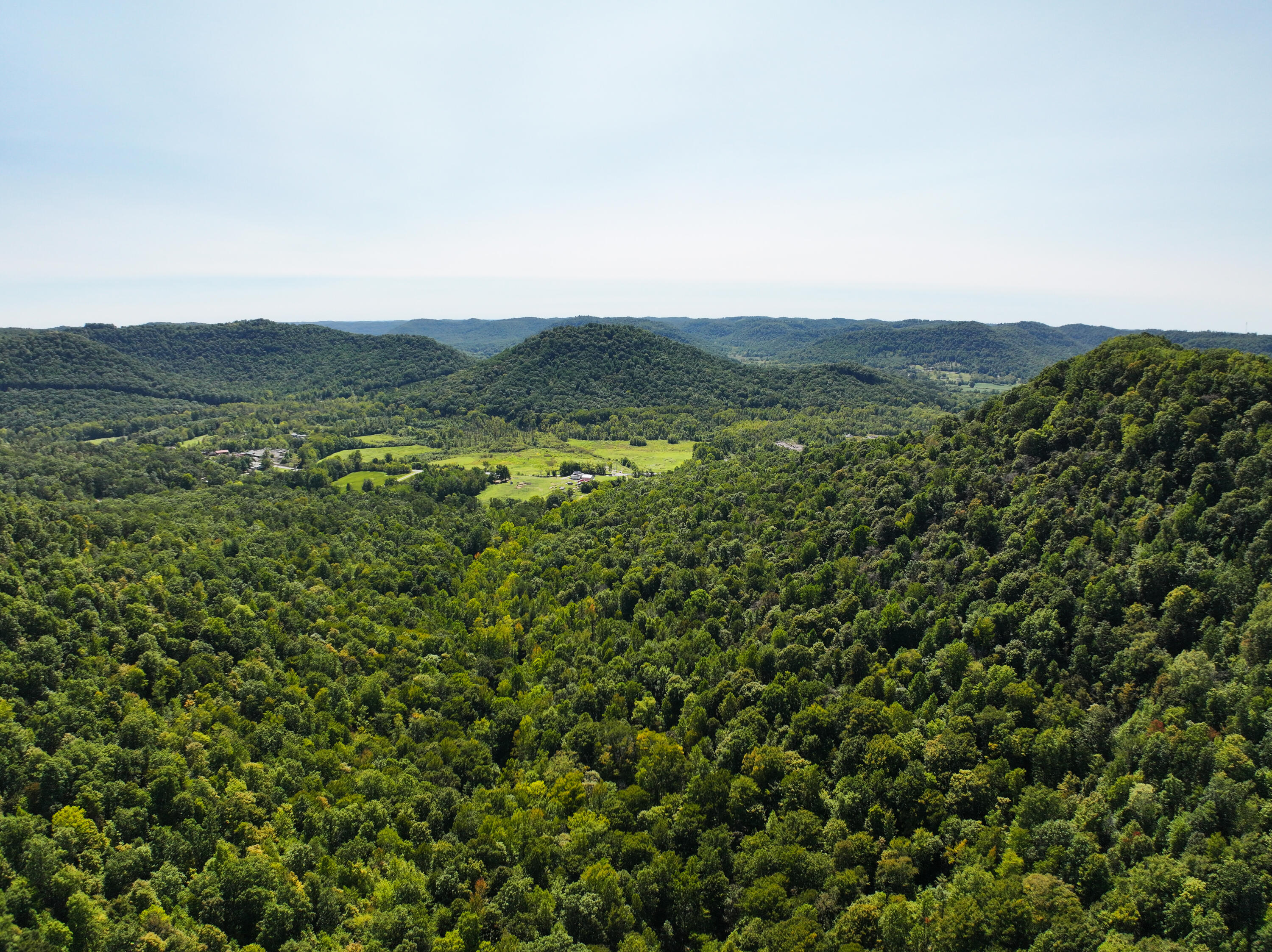 460.2 Cow Creek Road Ravenna, KY 40472 - Photo 42 of 46 Peace and quiet!