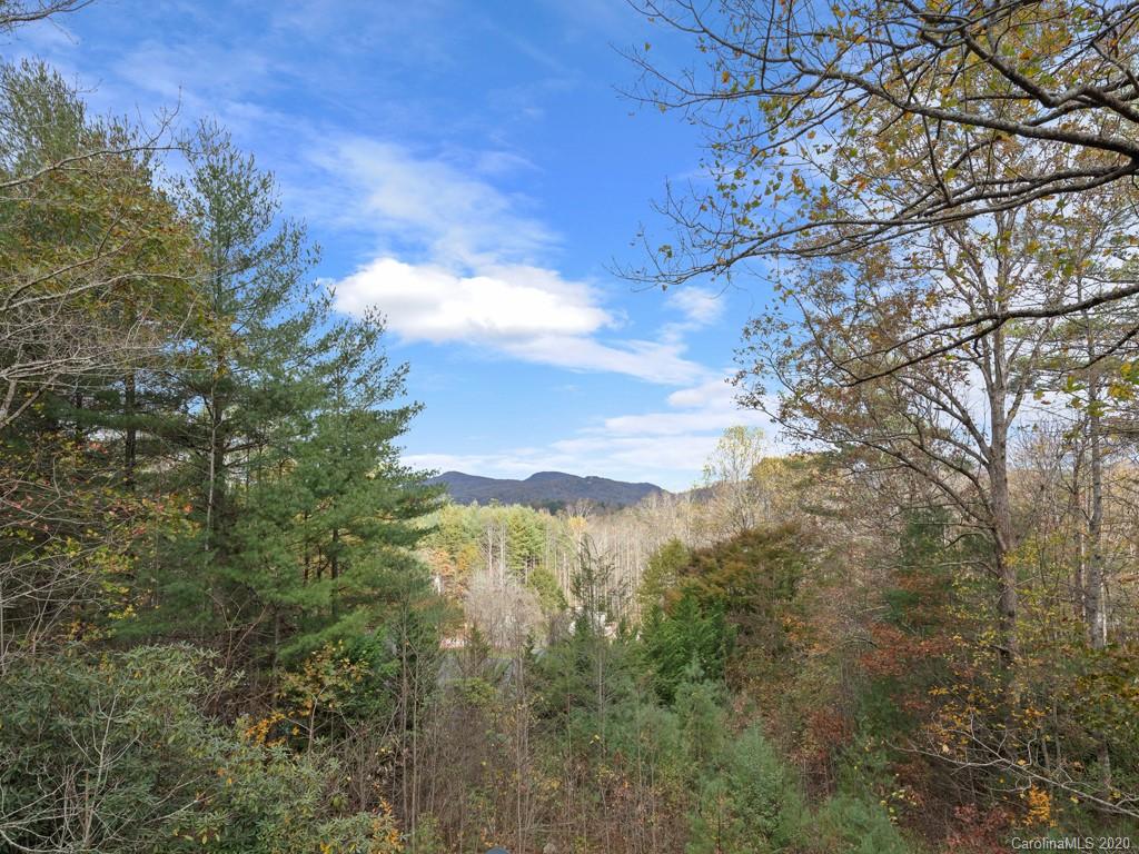 166 Cold Springs Road Hendersonville, NC 28792 - Photo 22 of 27