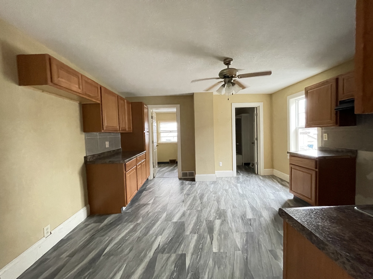 311 East Devlin Street Spring Valley, IL 61362 - Photo 6 of 15