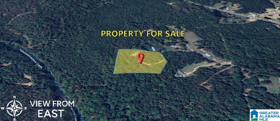 511 Old Creek Road Ohatchee, AL 36271 - Photo 7 of 11