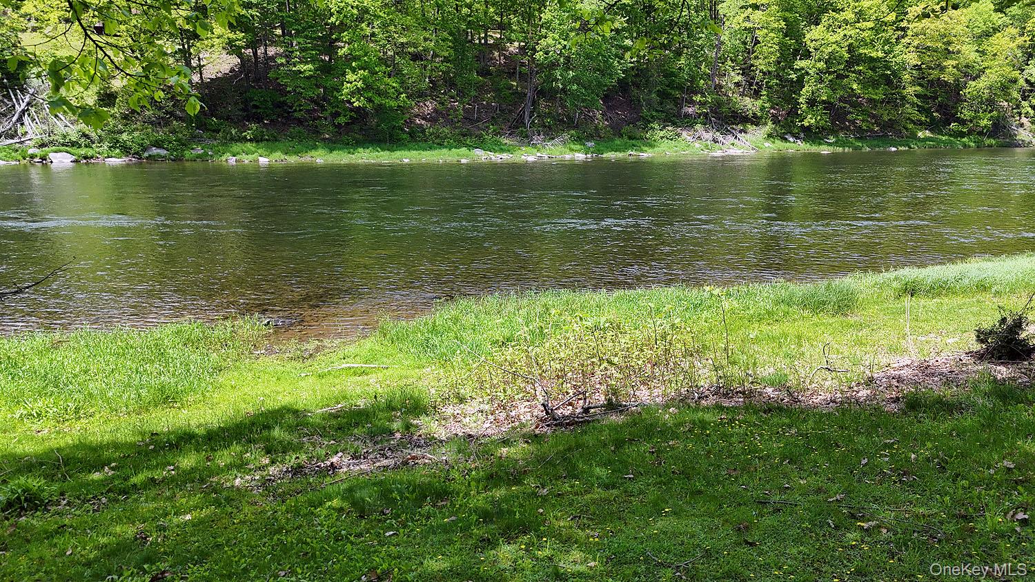 860 River Road Callicoon, NY 12723 - Photo 16 of 45 a view of a lake with a yard