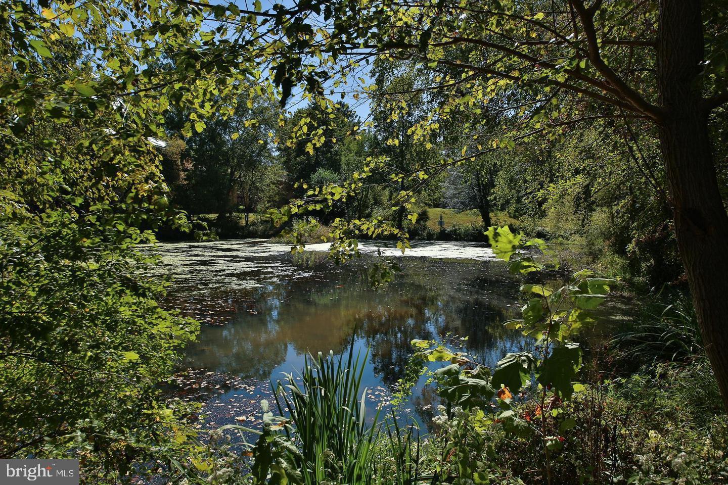 363 Old Forge Crossing, Unit 363 Devon, PA 19333 - Photo 27 of 32 reflection pond