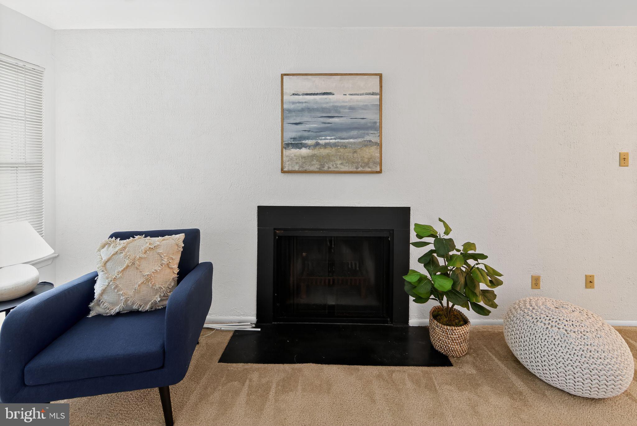 363 Old Forge Crossing, Unit 363 Devon, PA 19333 - Photo 9 of 32 Wood burning fireplace