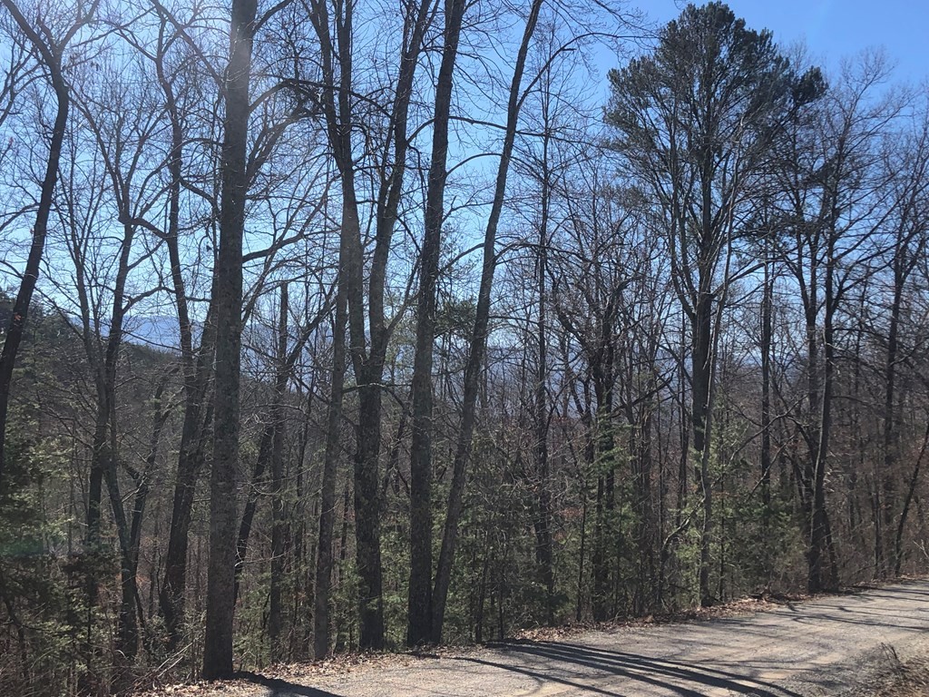 40 Hickory Tree Street Sevierville, TN 37876 - Photo 14 of 22