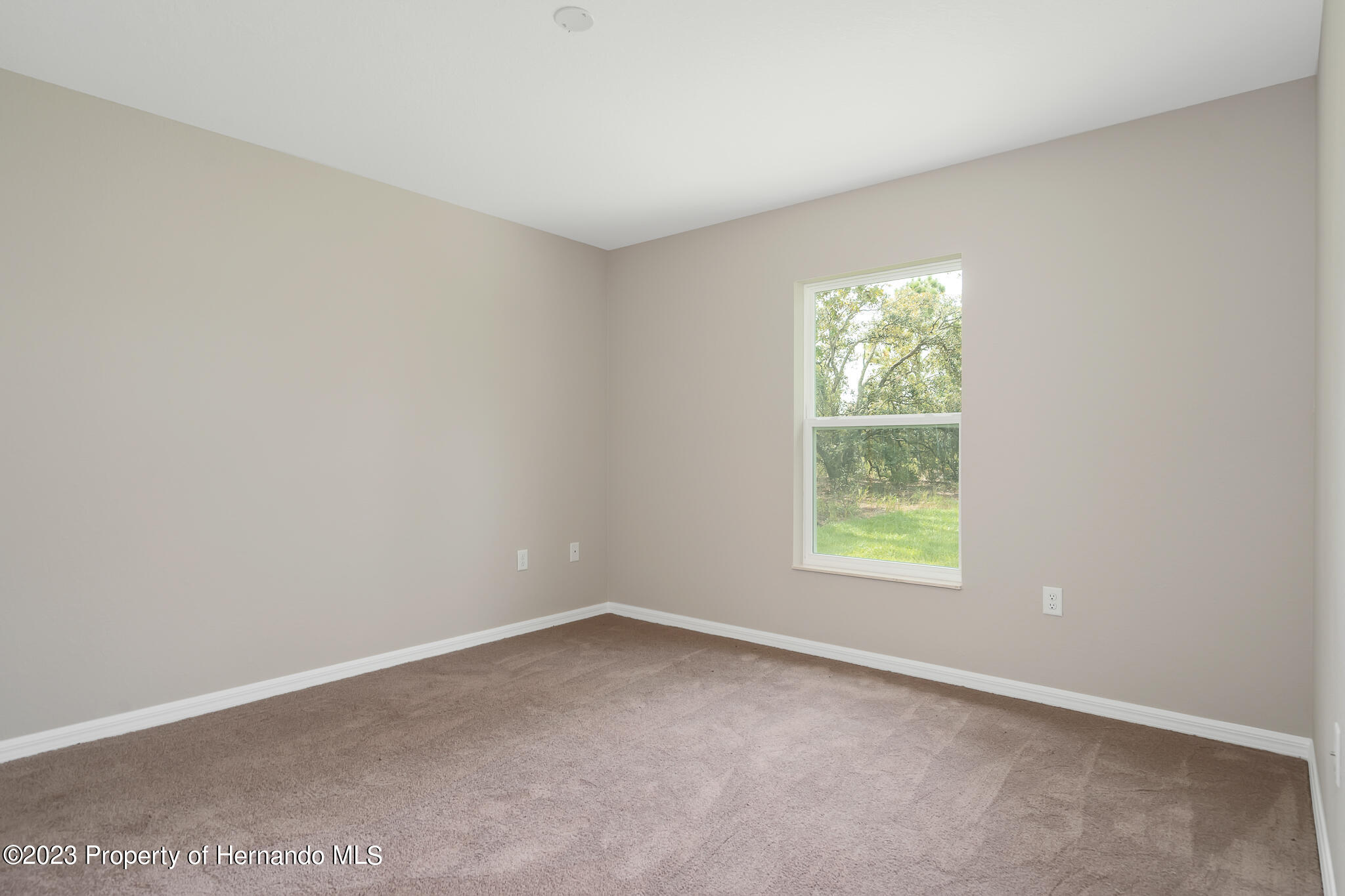 13014 Parade Weeki Wachee, FL 34614 - Photo 22 of 28 DSC02207