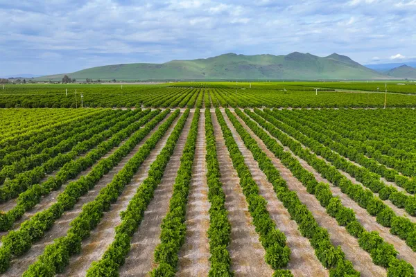 a view of an outdoor space with a lake view