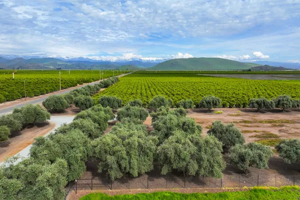 a view of an outdoor space and a yard