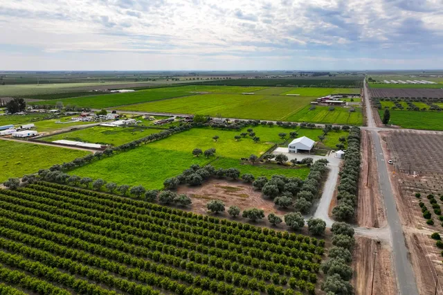 a view of a garden with an outdoor space