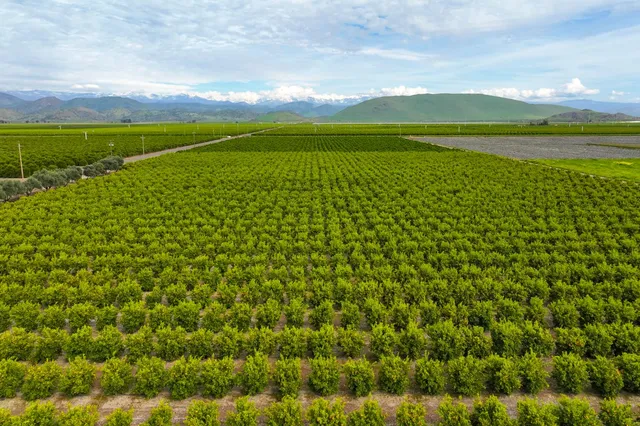 a view of an ocean and a mountain