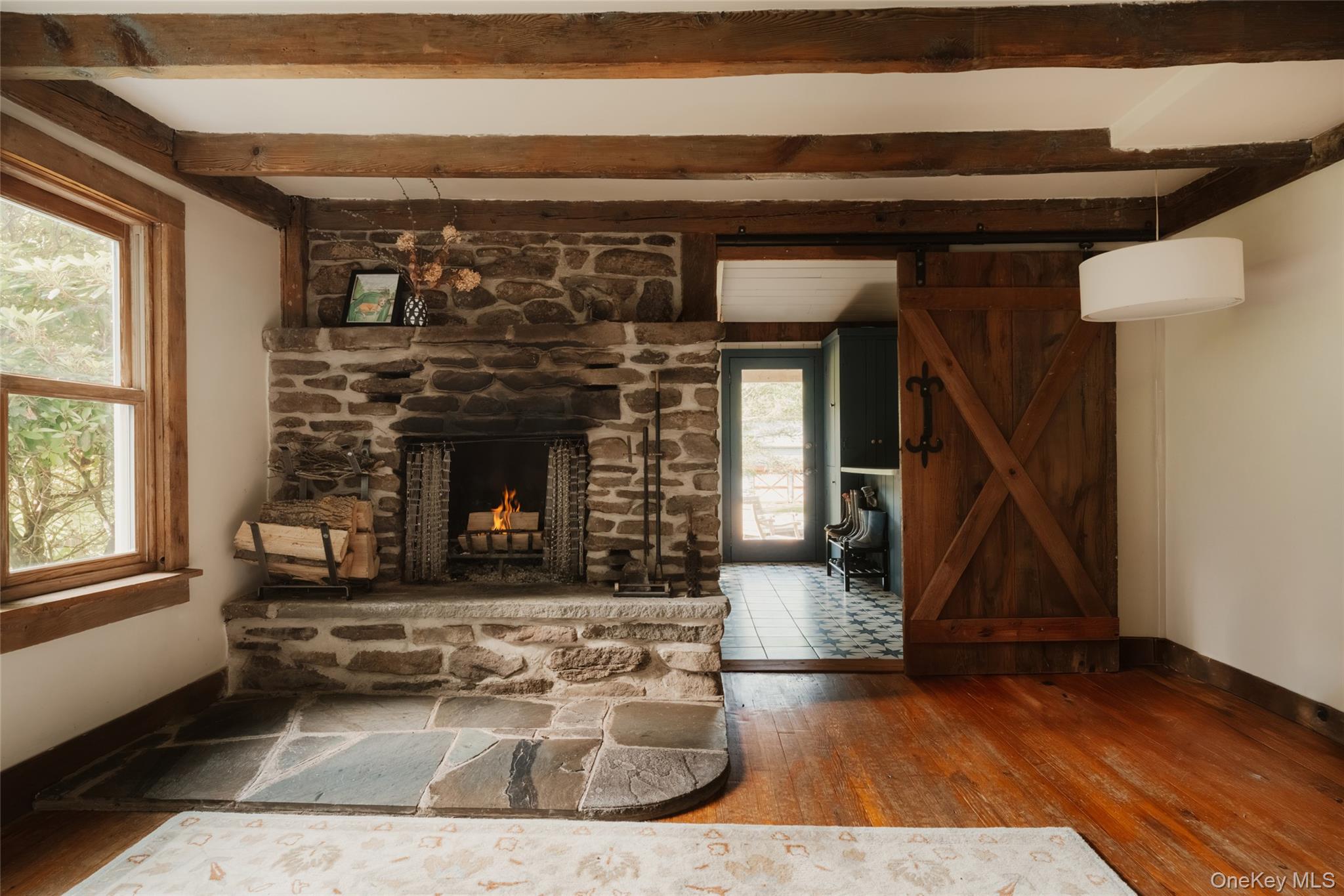 10 Elk Point Road Livingston Manor, NY 12758 - Photo 5 of 42