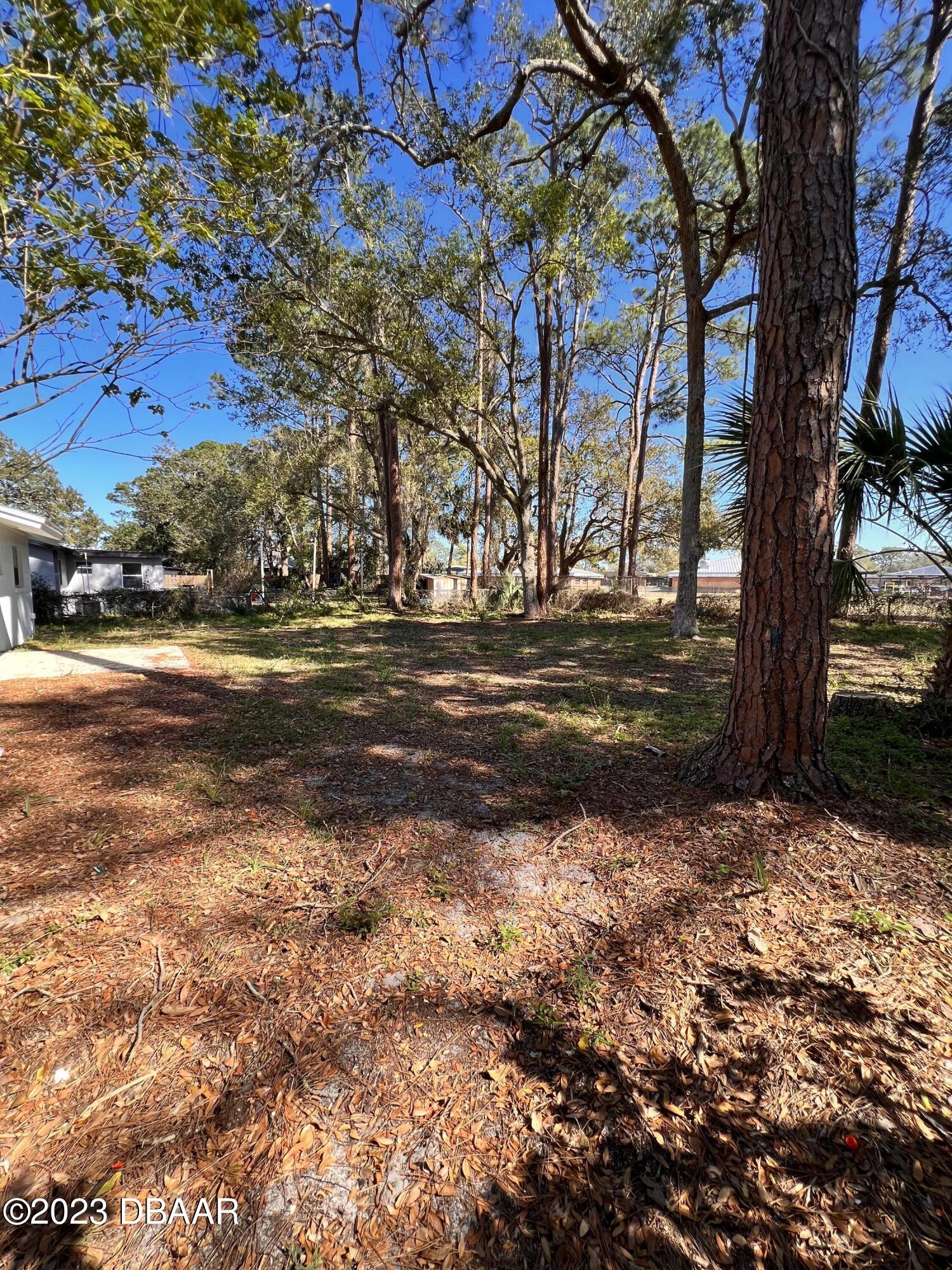 569 Lambright Road South Daytona, FL 32119 - Photo 10 of 11 pic11