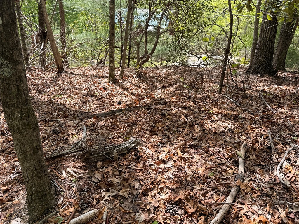 Elk Ridge Road Deep Gap, NC 28618 - Photo 11 of 30