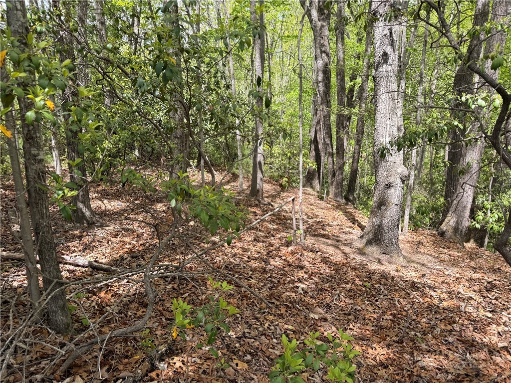 Elk Ridge Road Deep Gap, NC 28618 - Photo 13 of 30