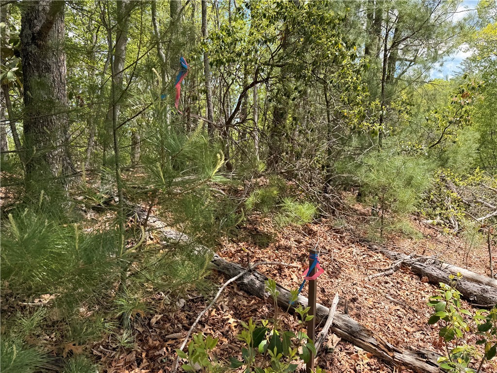 Elk Ridge Road Deep Gap, NC 28618 - Photo 14 of 30
