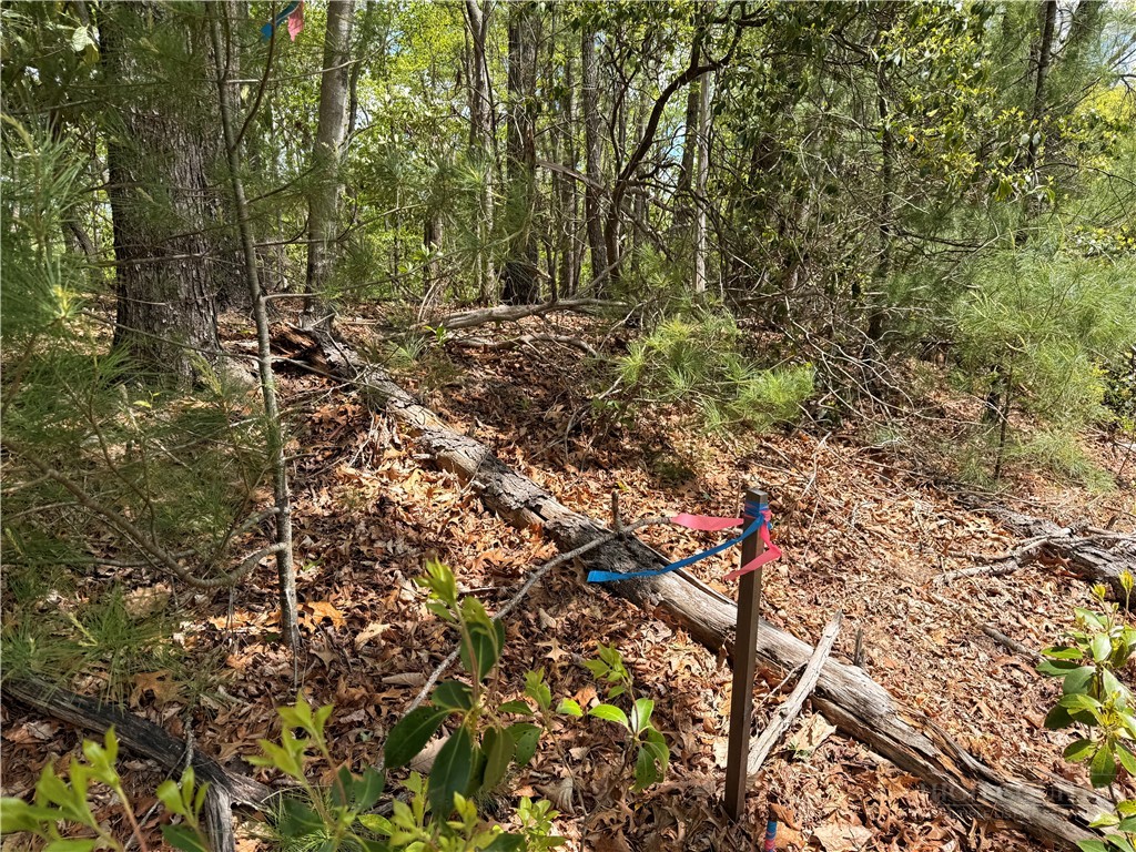 Elk Ridge Road Deep Gap, NC 28618 - Photo 15 of 30