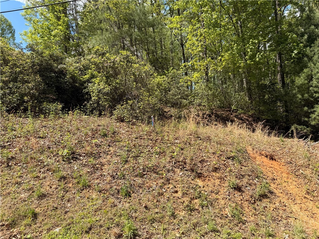 Elk Ridge Road Deep Gap, NC 28618 - Photo 16 of 30