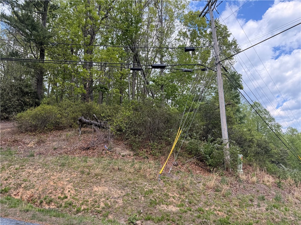 Elk Ridge Road Deep Gap, NC 28618 - Photo 17 of 30