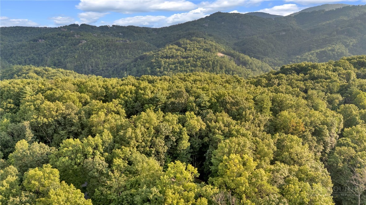 Elk Ridge Road Deep Gap, NC 28618 - Photo 18 of 30