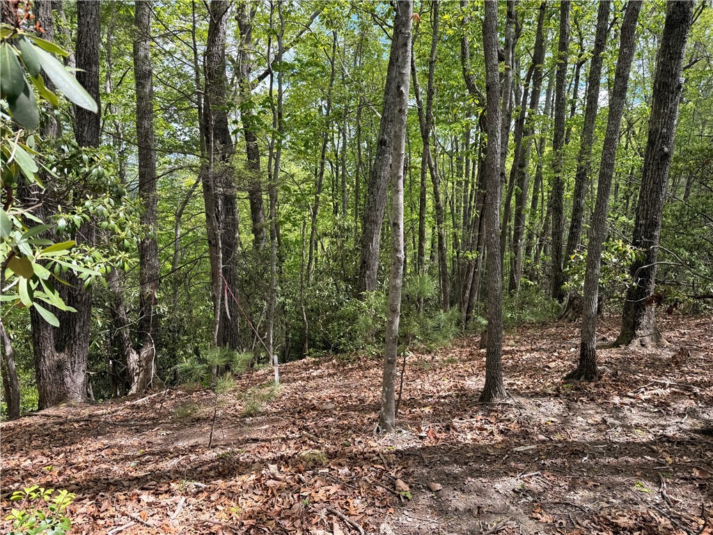 Elk Ridge Road Deep Gap, NC 28618 - Photo 2 of 30