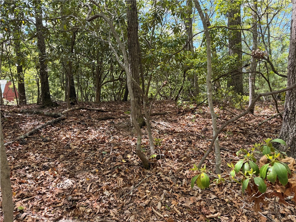 Elk Ridge Road Deep Gap, NC 28618 - Photo 5 of 30