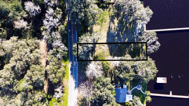 a view of a tree in front of a house