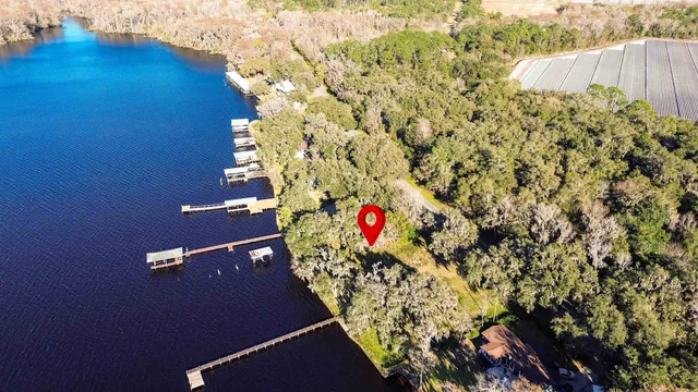 a view of a lake with plants