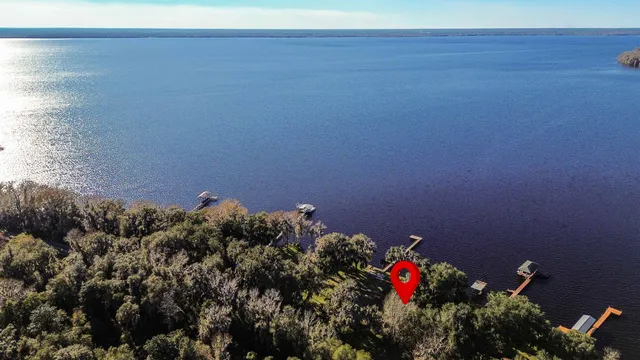 a view of swimming pool from a garden