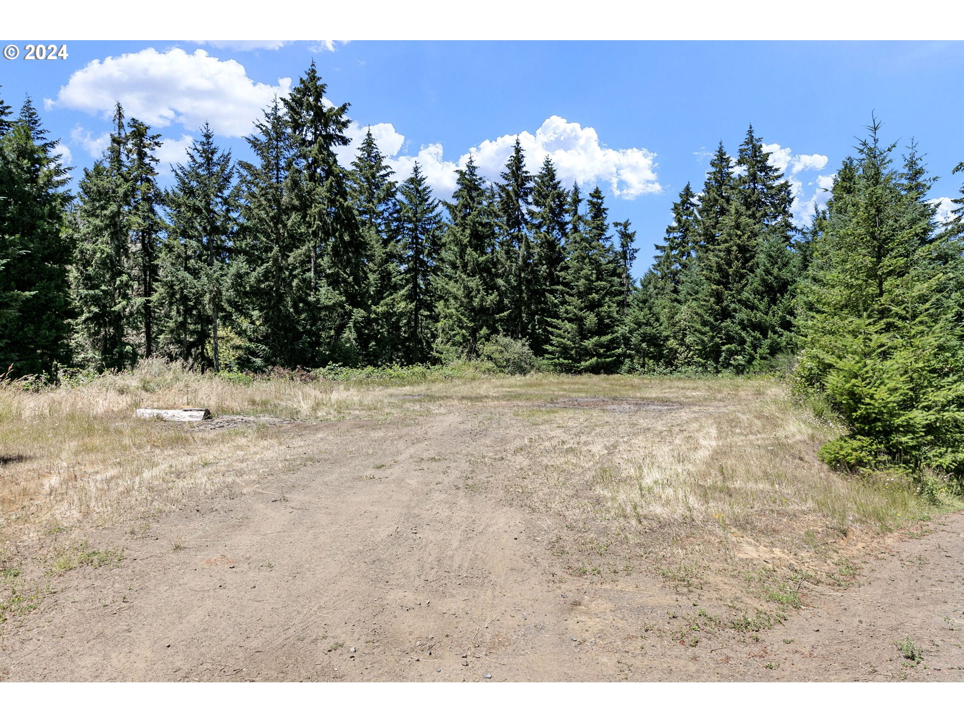 6551 Elkhead Road Yoncalla, OR 97499 - Photo 22 of 39 a view of yard