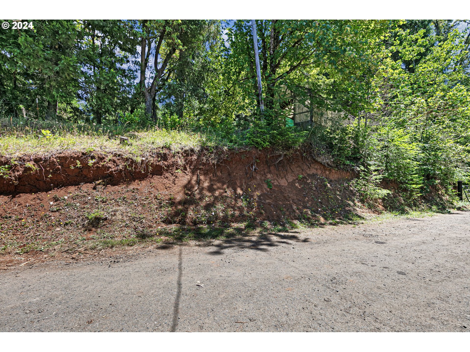 6551 Elkhead Road Yoncalla, OR 97499 - Photo 23 of 39 a view of a dry yard with trees