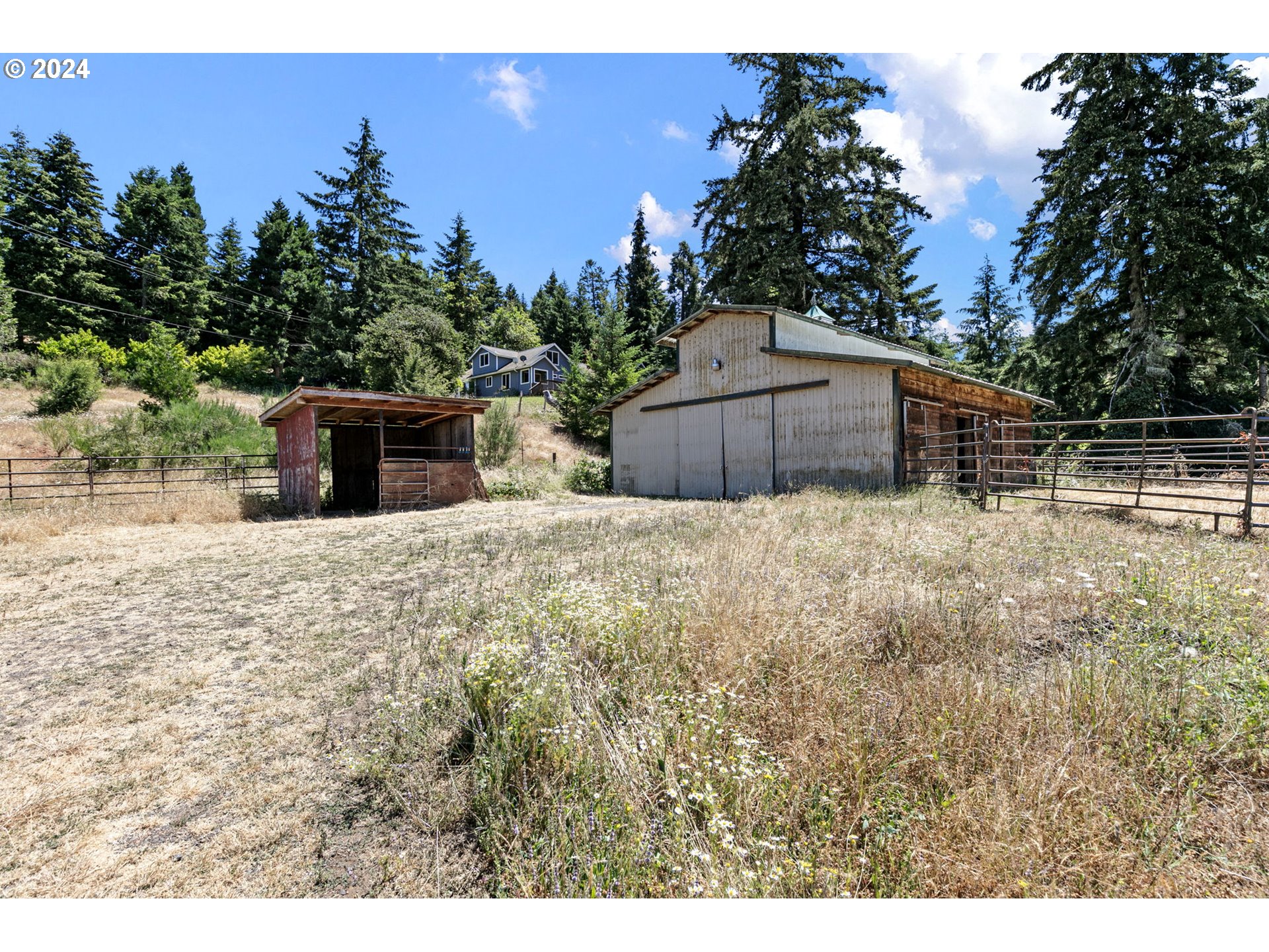 6551 Elkhead Road Yoncalla, OR 97499 - Photo 27 of 39 a backyard of a house with lots of green space