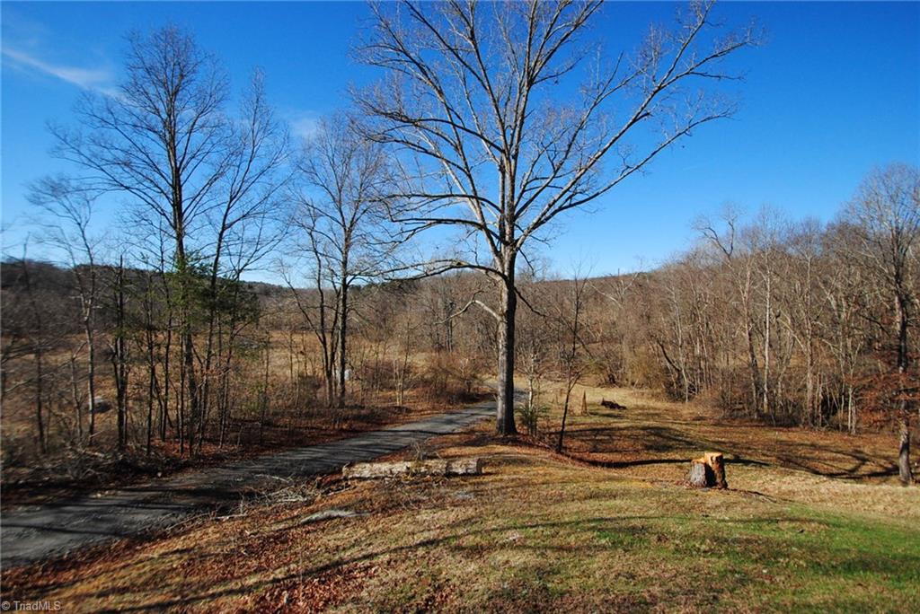 1150 Krishna Road Sandy Ridge, NC 27046 - Photo 14 of 15 View