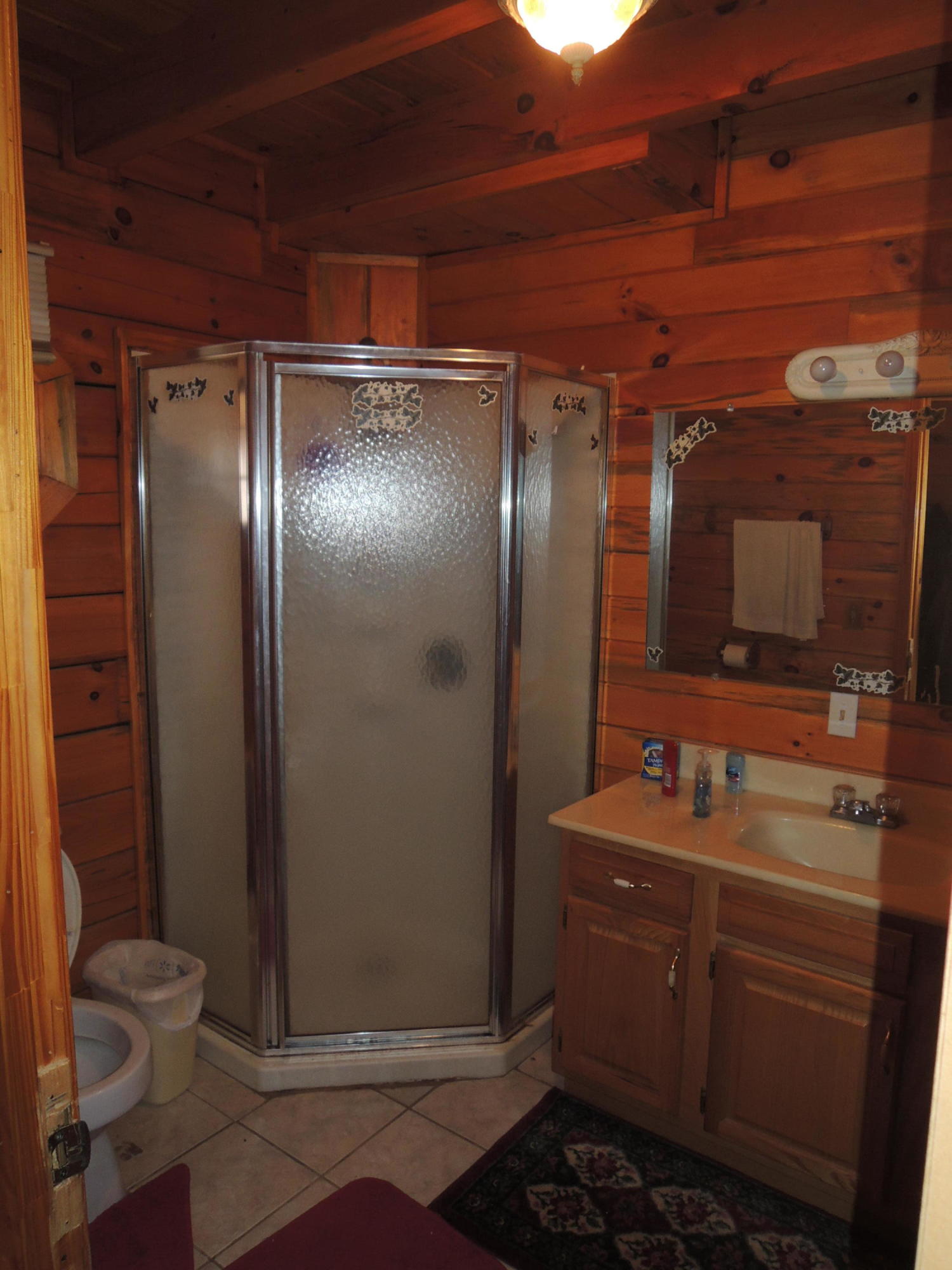 504 Newport Road Sunbright, TN 37872 - Photo 17 of 27 DSCN6717