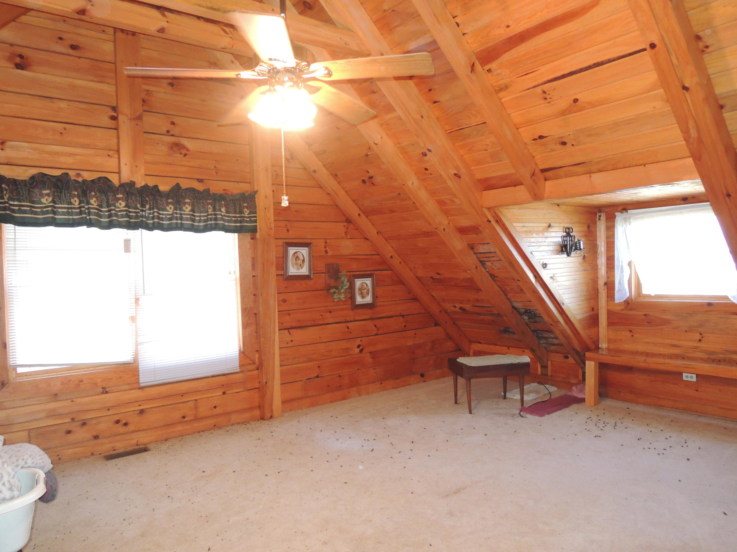 504 Newport Road Sunbright, TN 37872 - Photo 20 of 27 DSCN6720