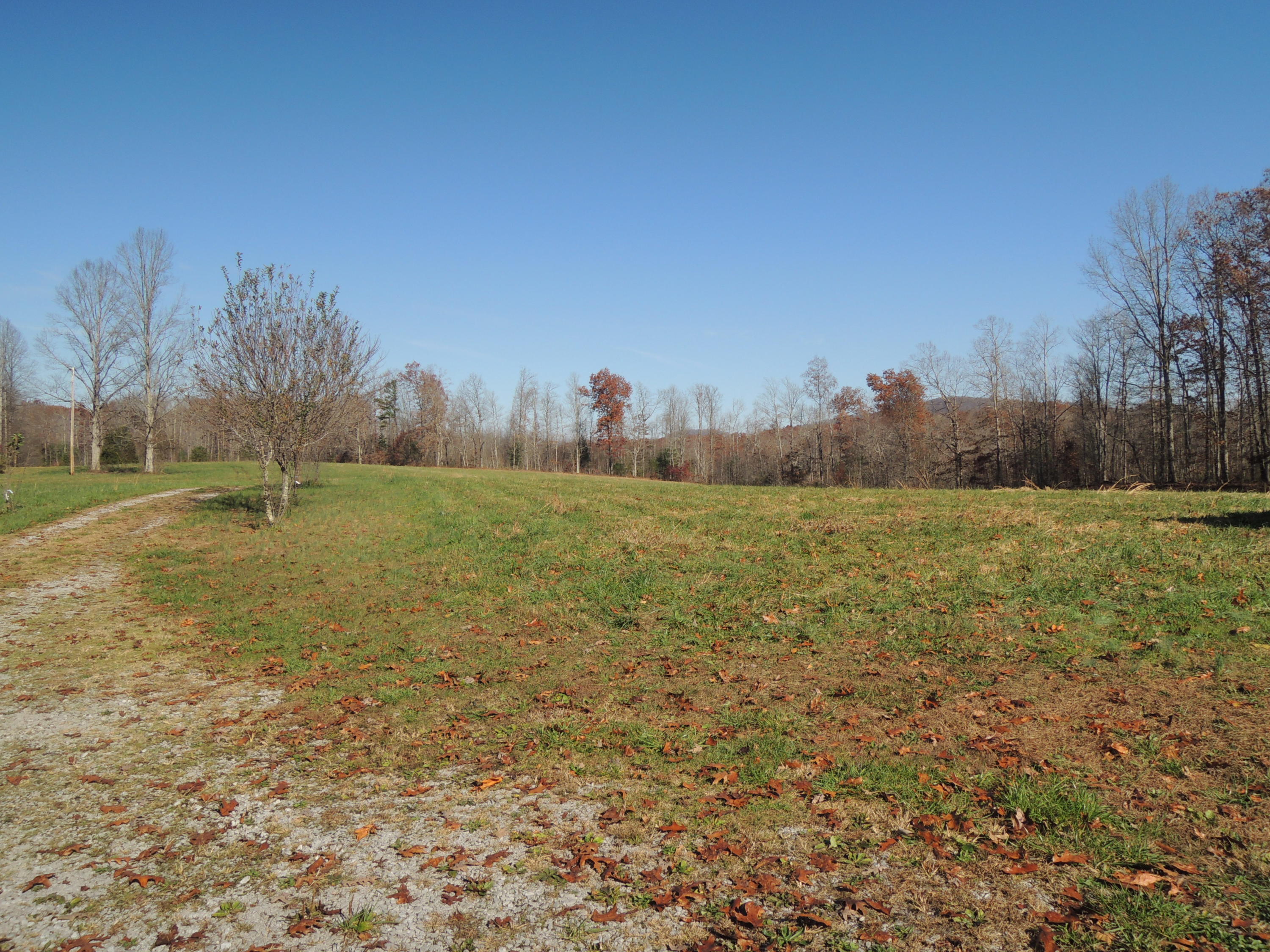 504 Newport Road Sunbright, TN 37872 - Photo 23 of 27 DSCN6723