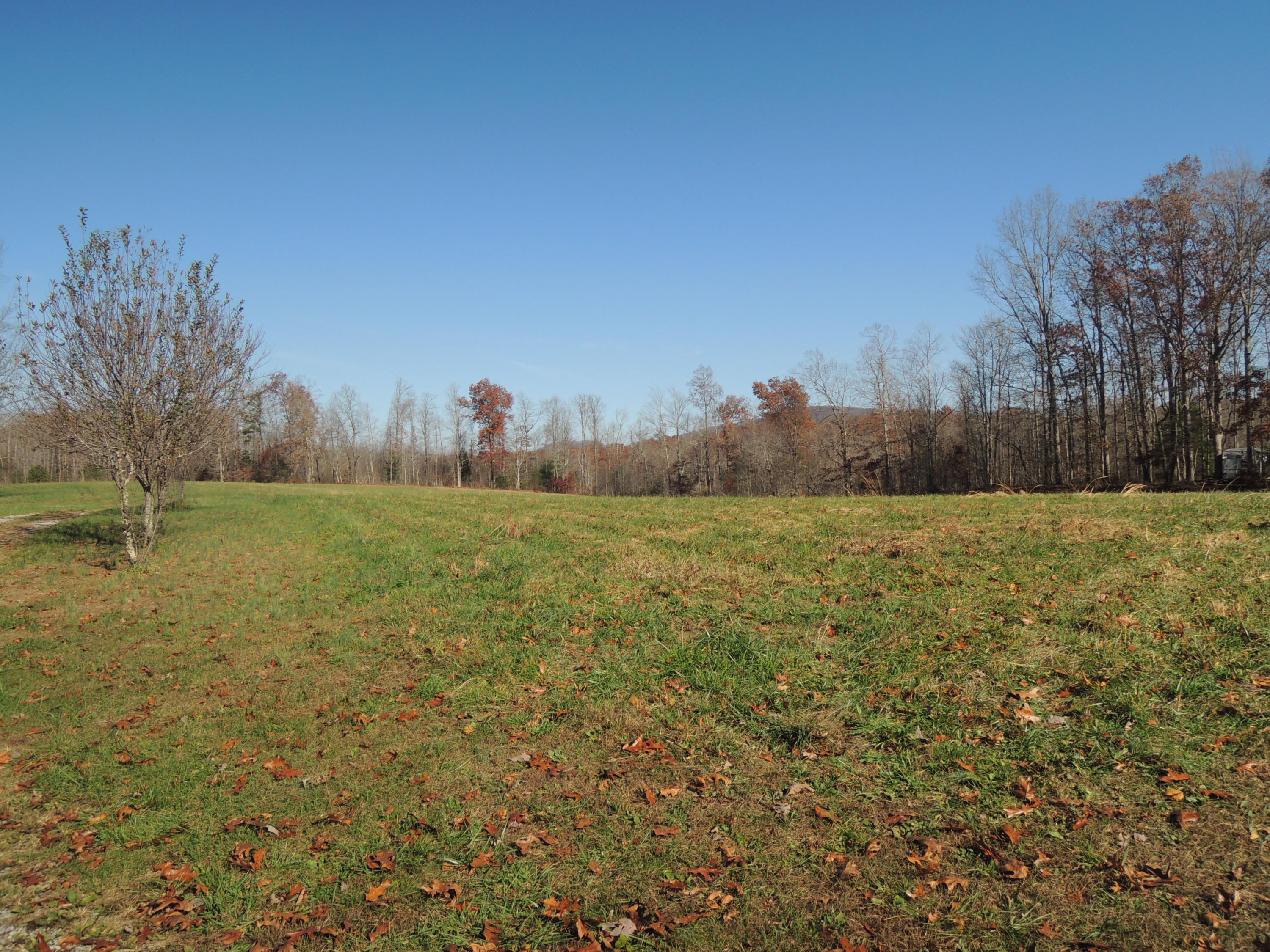 504 Newport Road Sunbright, TN 37872 - Photo 24 of 27 DSCN6724