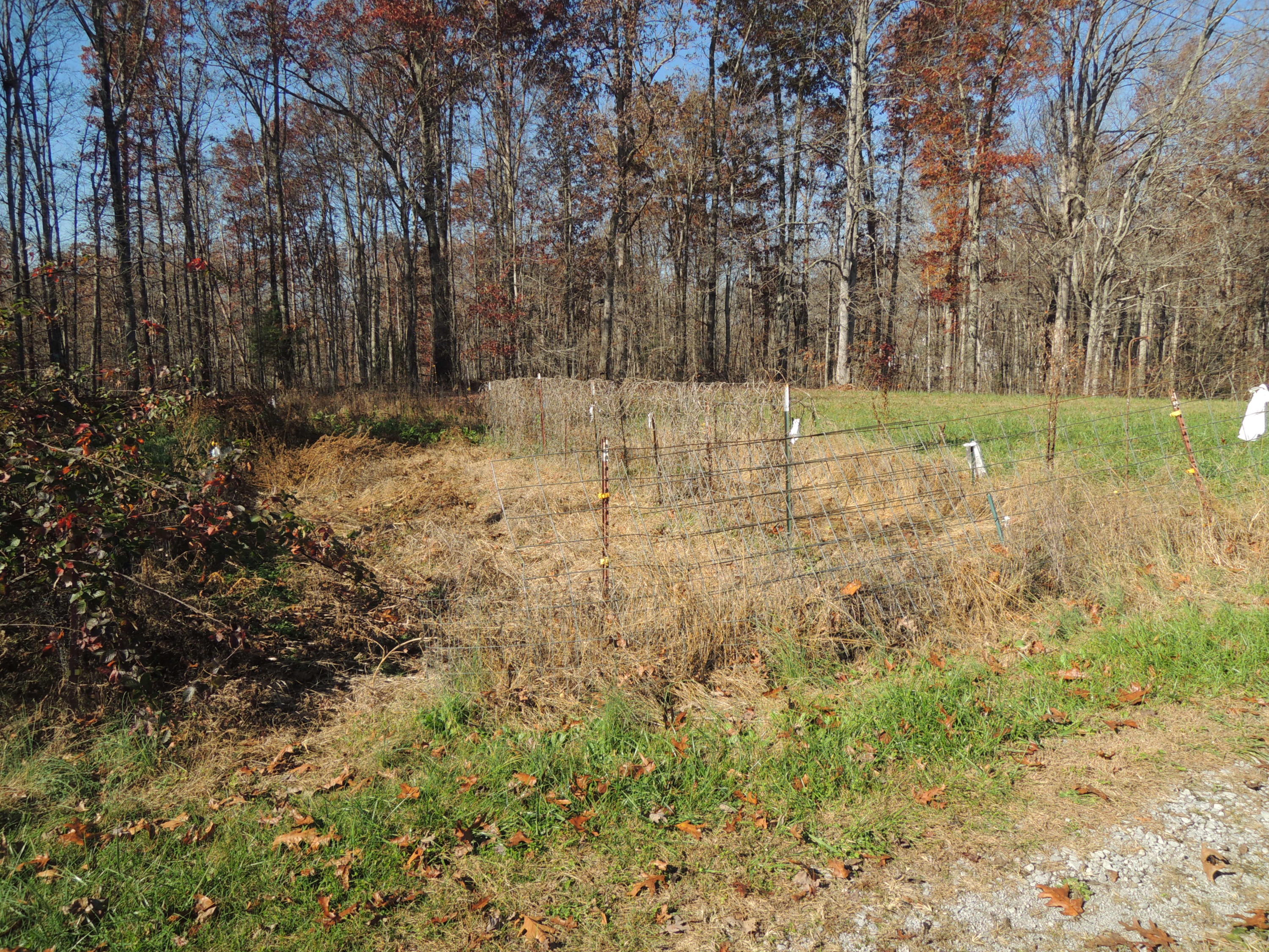 504 Newport Road Sunbright, TN 37872 - Photo 25 of 27 DSCN6725