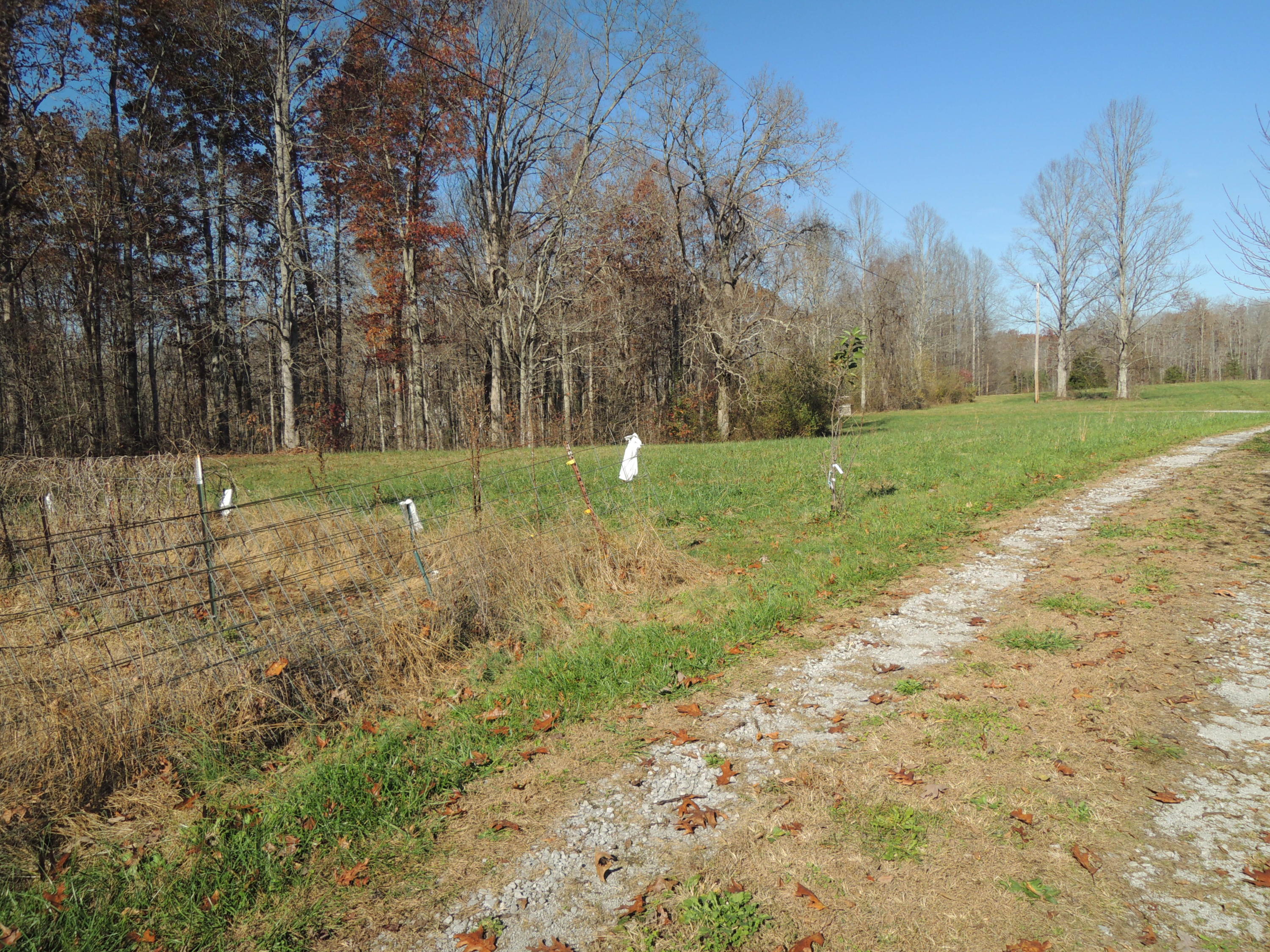 504 Newport Road Sunbright, TN 37872 - Photo 26 of 27 DSCN6726