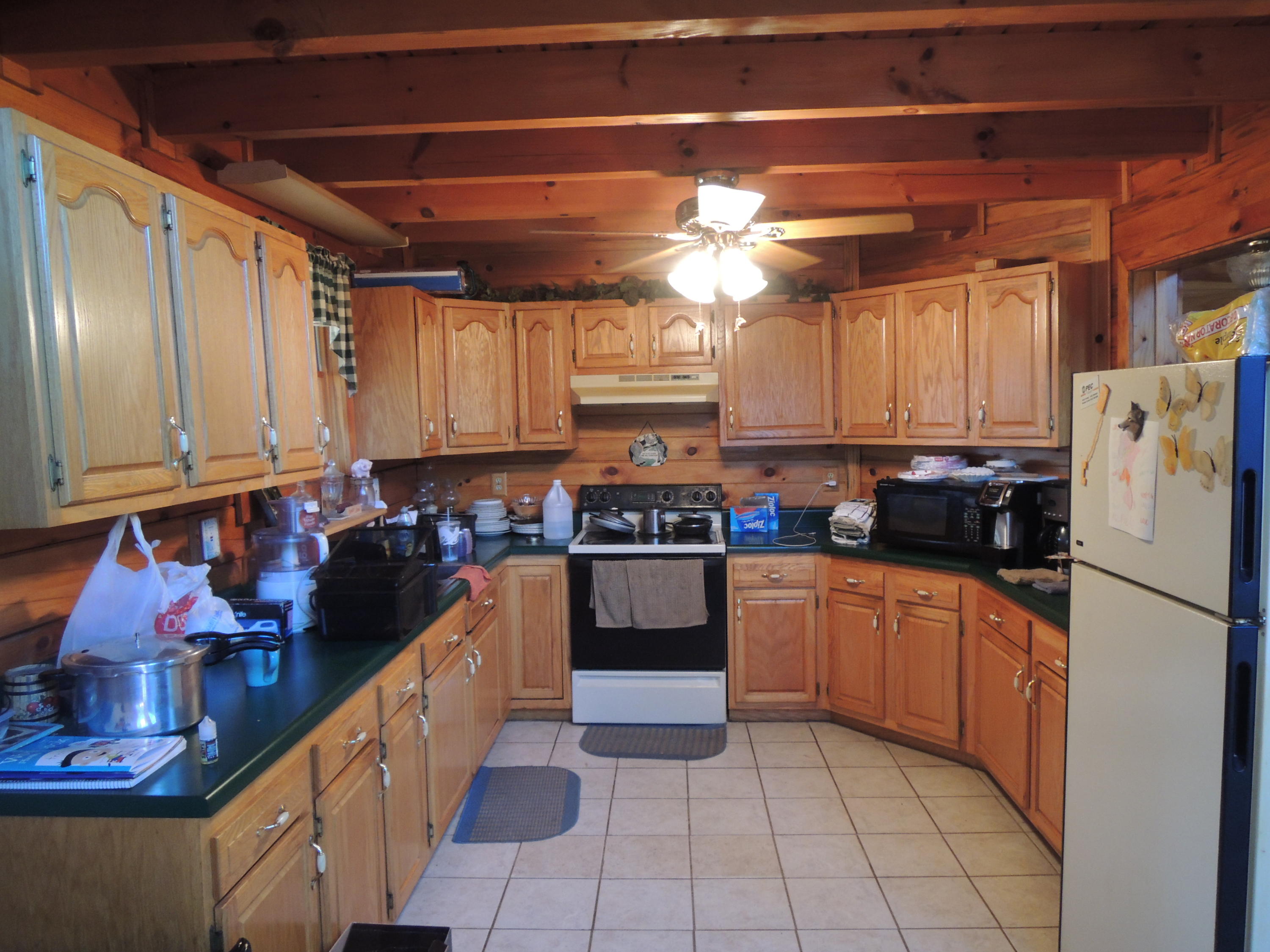 504 Newport Road Sunbright, TN 37872 - Photo 10 of 27 DSCN6709