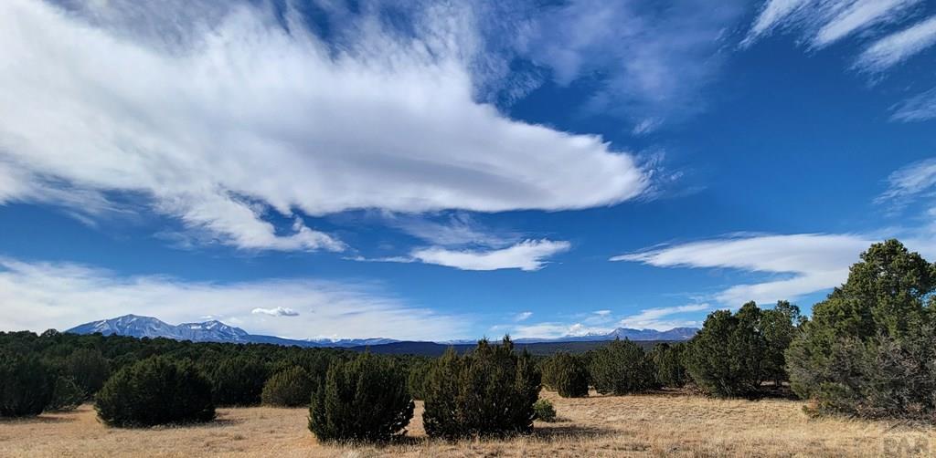 Lot 34 Silver Spur Road Walsenburg, CO 81089 - Photo 5 of 43