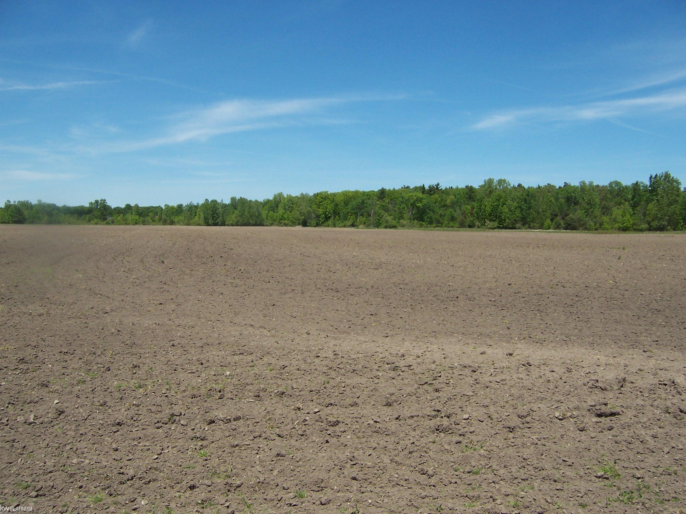 Lot 7 Lapeer Road Smiths Creek, MI 48074 - Photo 1 of 2