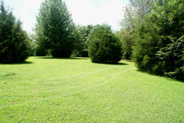 2023 Clara Mathis Road Spring Hill, TN 37174 - Photo 15 of 16 a view of an outdoor space and a yard
