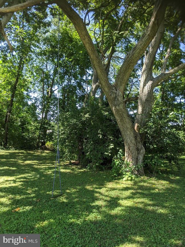 20 West Springville Road Boiling Springs, PA 17007 - Photo 56 of 59 Gallery Image 56